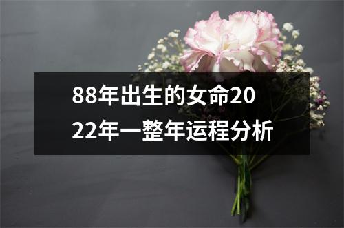 88年出生的女命2025年一整年运程分析