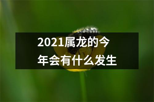 2025属龙的今年会有什么发生