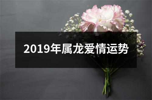 2019年属龙爱情运势