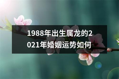 1988年出生属龙的2025年婚姻运势如何