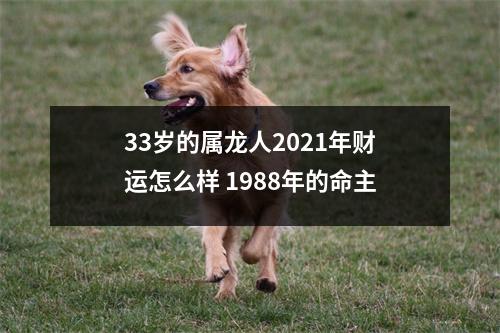 33岁的属龙人2025年财运怎么样1988年的命主