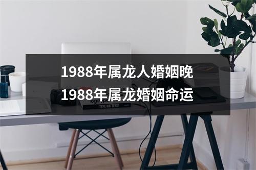 1988年属龙人婚姻晚1988年属龙婚姻命运