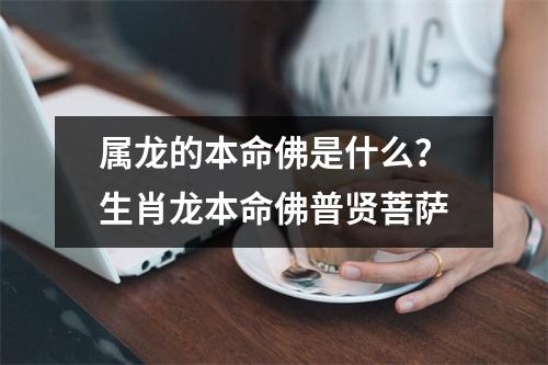 属龙的本命佛是什么？生肖龙本命佛普贤菩萨