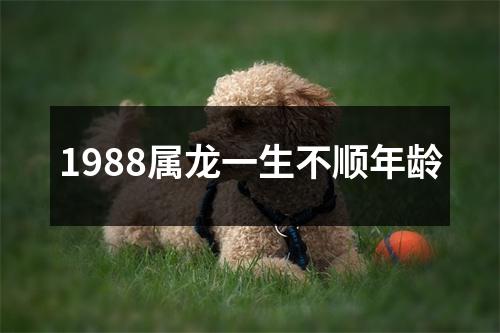 1988属龙一生不顺年龄