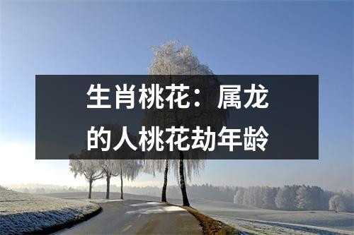 生肖桃花：属龙的人桃花劫年龄