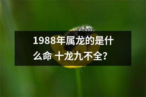 1988年属龙的是什么命十龙九不全？