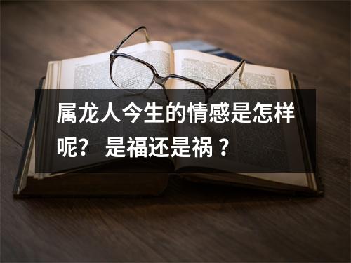 属龙人今生的情感是怎样呢？是福还是祸？