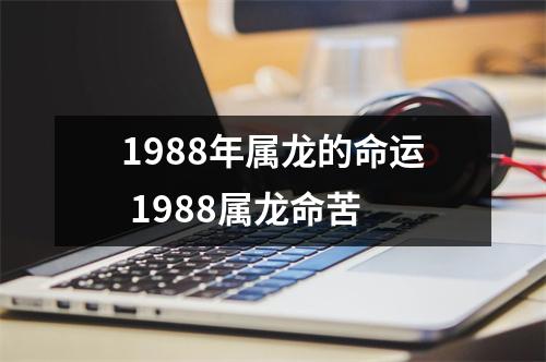 1988年属龙的命运 1988属龙命苦