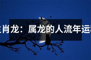 生肖龙：属龙的人流年运程