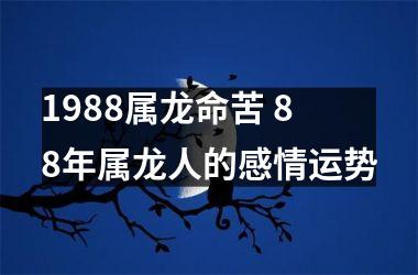 1988属龙命苦 88年属龙人的感情运势