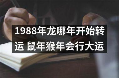 1988年龙哪年开始转运 鼠年猴年会行大运