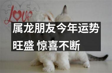 属龙朋友今年运势旺盛 惊喜不断