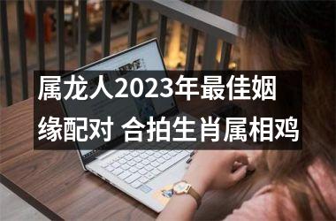 属龙人2025年佳姻缘配对 合拍生肖属相鸡