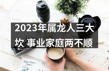 2025年属龙人三大坎 事业家庭两不顺