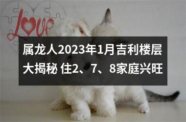 属龙人2025年1月吉利楼层大揭秘 住2、7、8家庭兴旺