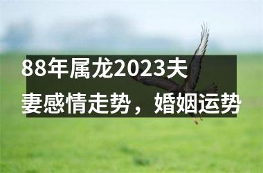 <h3>88年属龙2025夫妻感情走势，婚姻运势