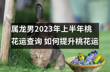 属龙男2025年上半年桃花运查询 如何提升桃花运