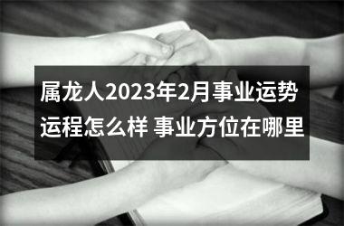 <h3>属龙人2025年2月事业运势运程怎么样 事业方位在哪里