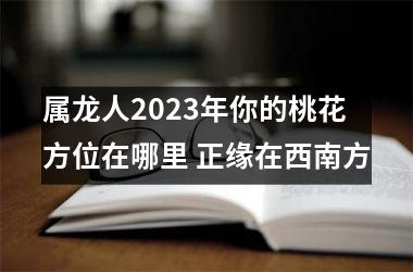 <h3>属龙人2025年你的桃花方位在哪里 正缘在西南方