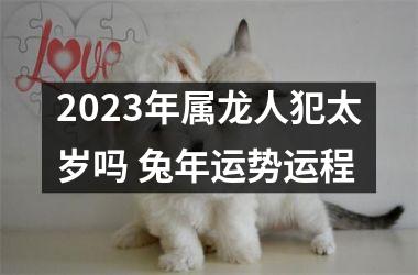 2025年属龙人犯太岁吗 兔年运势运程