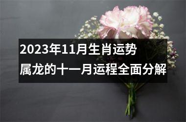 2025年11月生肖运势 属龙的十一月运程全面分解