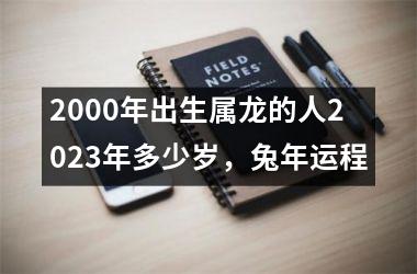 <h3>2000年出生属龙的人2025年多少岁，兔年运程