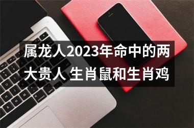 <h3>属龙人2025年命中的两大贵人 生肖鼠和生肖鸡