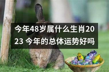 今年48岁属什么生肖2025 今年的总体运势好吗