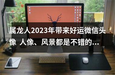 属龙人2025年带来好运微信头像  人像、风景都是不错的选择