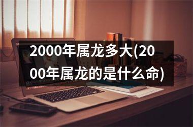 2000年属龙多大(2000年属龙的是什么命)