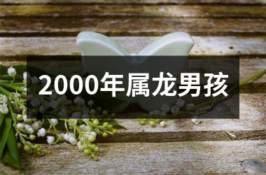 <h3>2000年属龙男孩