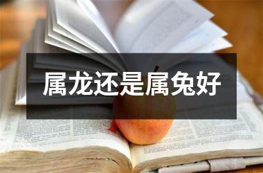 属龙还是属兔好