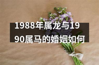 1988年属龙与1990属马的婚姻如何