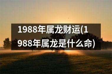 1988年属龙财运(1988年属龙是什么命)