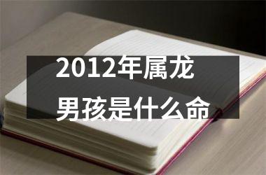 2012年属龙男孩是什么命