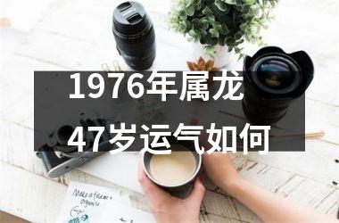 1976年属龙47岁运气如何