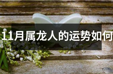 11月属龙人的运势如何