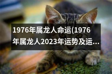 1976年属龙人命运(1976年属龙人2025年运势及运程每月运程)