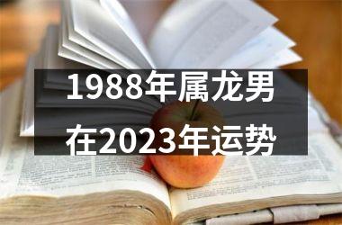 1988年属龙男在2023年运势