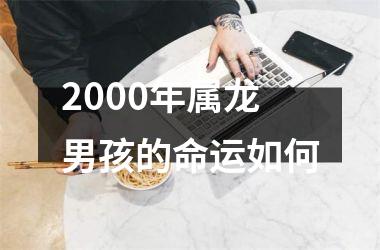 <h3>2000年属龙男孩的命运如何