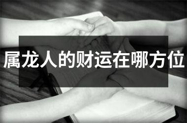 <h3>属龙人的财运在哪方位