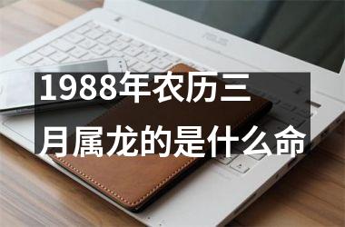 <h3>1988年农历三月属龙的是什么命