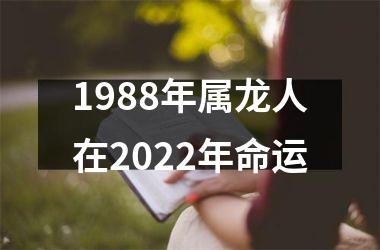 1988年属龙人在2025年命运