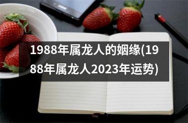 1988年属龙人的姻缘(1988年属龙人2025年运势)