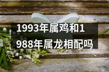 1993年属鸡和1988年属龙相配吗