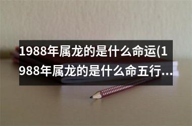 1988年属龙的是什么命运(1988年属龙的是什么命五行属什么)