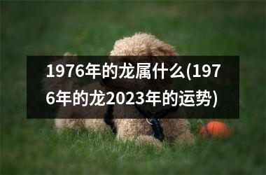 1976年的龙属什么(1976年的龙2025年的运势)