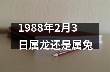 1988年2月3日属龙还是属兔