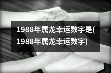 1988年属龙幸运数字是(1988年属龙幸运数字)