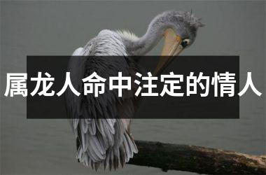 <h3>属龙人命中注定的情人